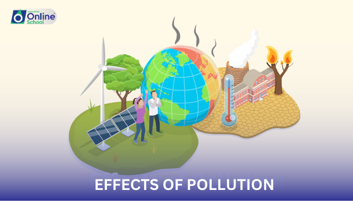 Lesson 17: Effects of Pollution